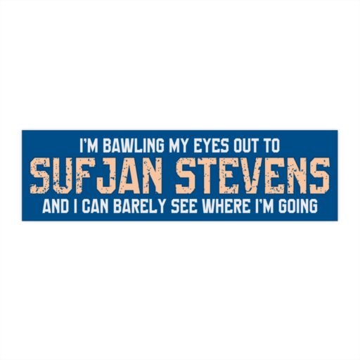 I'm Bawling My Eyes Out To Sufjan Stevens And I Can Barely See Where I'm Going