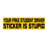 Your Fake Student Driver Sticker Is Stupid