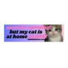 Sorry for Speeding but My Cat is at Home Alone Bumper Stickers