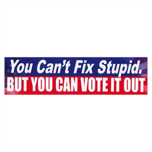 You Can't Fix Stupid But You Can Vote It Out Bumper Stickers