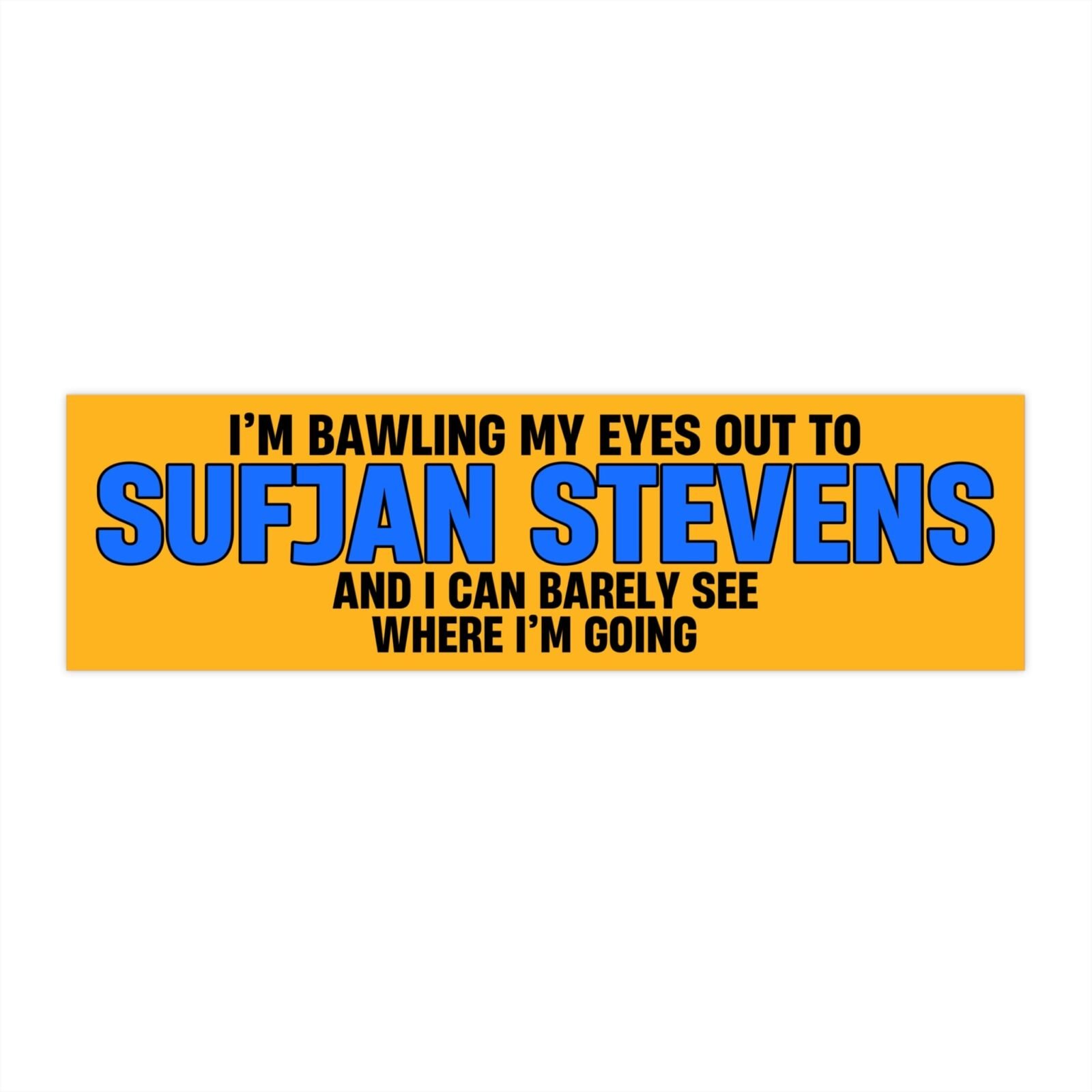 I'm Bawling My Eyes Out To Sufjan Stevens And I Can Barely See Where I'm Going