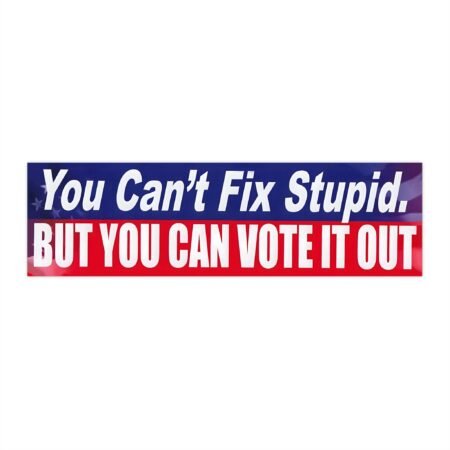 You Can't Fix Stupid, But You Can Vote It Out Bumper Stickers