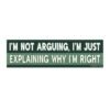 I'm not arguing I'm just explaining why I'm right Bumper Sticker