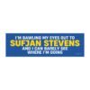 I’m Bawling My Eyes Out To Sufjan Stevens And I Can Barely See Where I’m Going Magnet Sticker