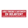 Are There Cavemen in Heaven? Let’s Find Out Together Bumper Sticker