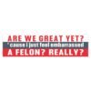 Are We Great Yet? Embarrassed by a Felon Bumper Sticker