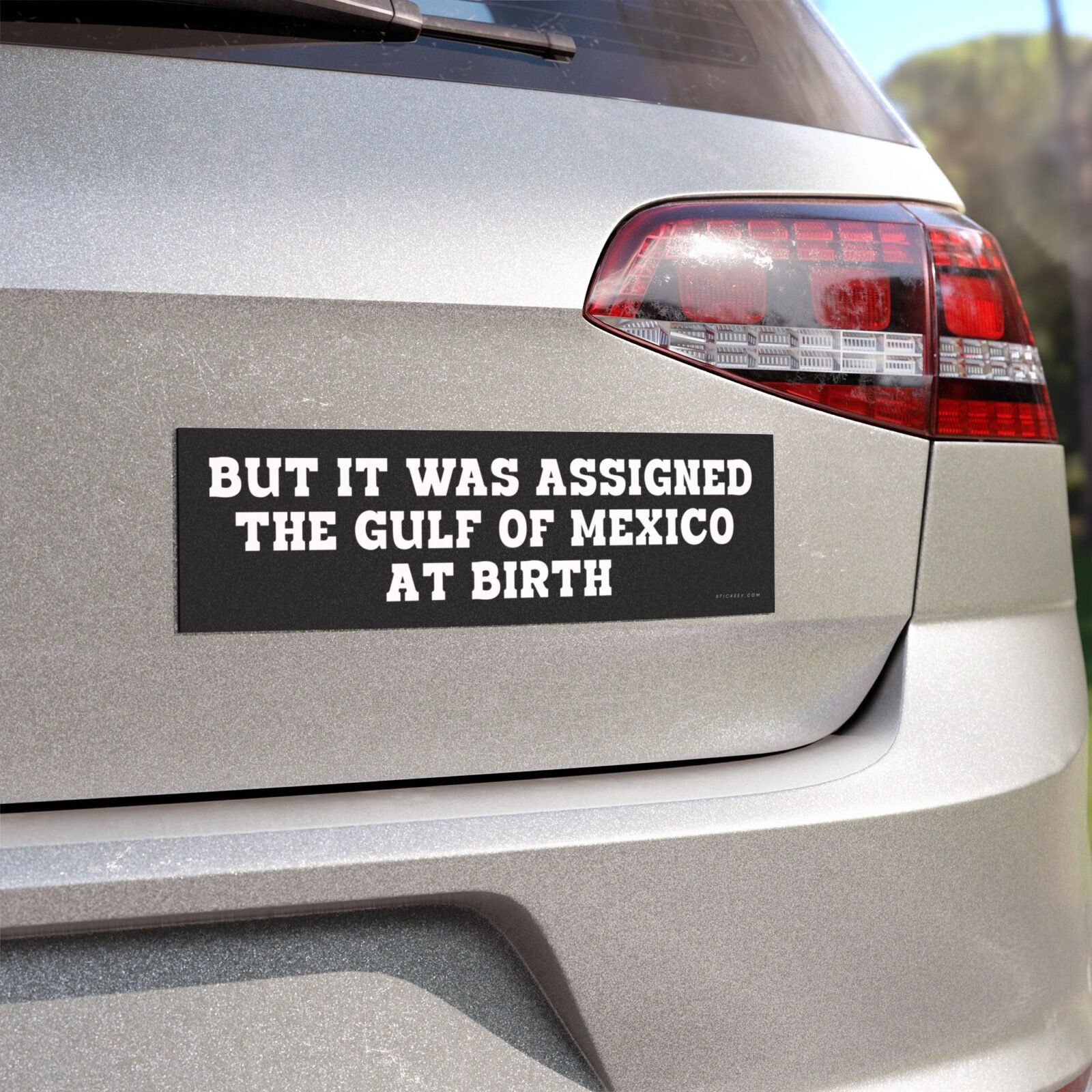 But It Was Assigned The Gulf Of Mexico At Birth Magnet Sticker