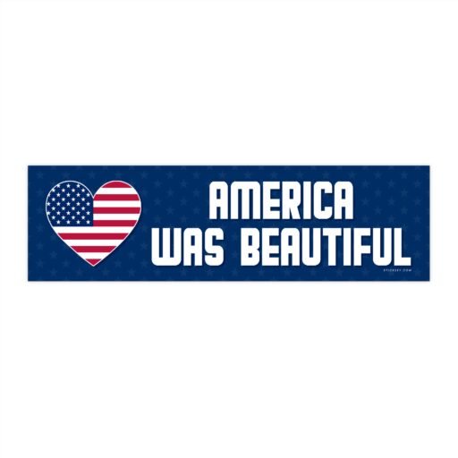 America Was Beautiful Bumper sticker