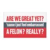 Are We Great Yet? Cause I Just Feel Embarrassed A Felon? Really?