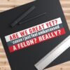 Are We Great Yet? Embarrassed by a Felon Bumper Sticker
