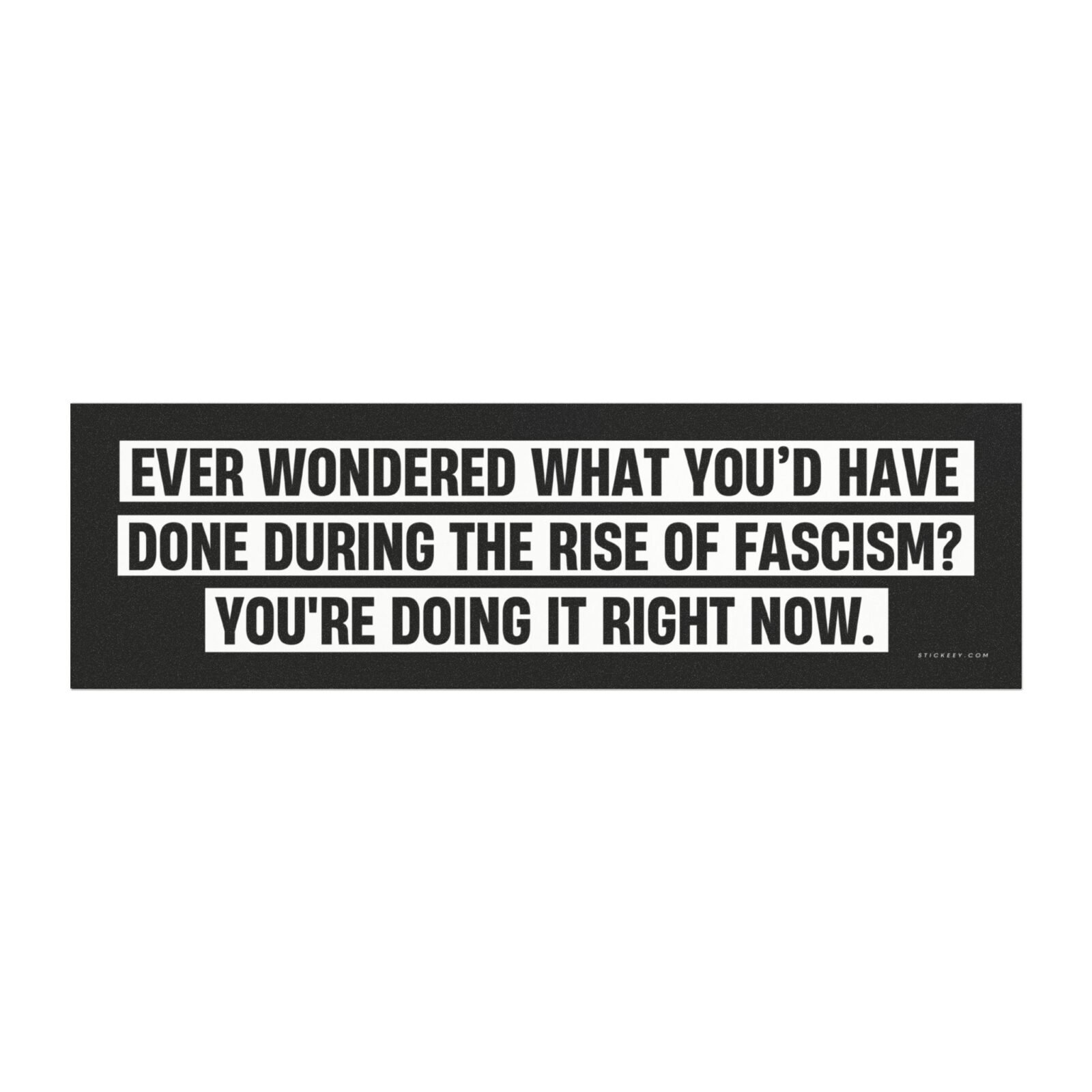 Ever Wondered What You’d Have Done During the Rise of Fascism? Magnet Sticker