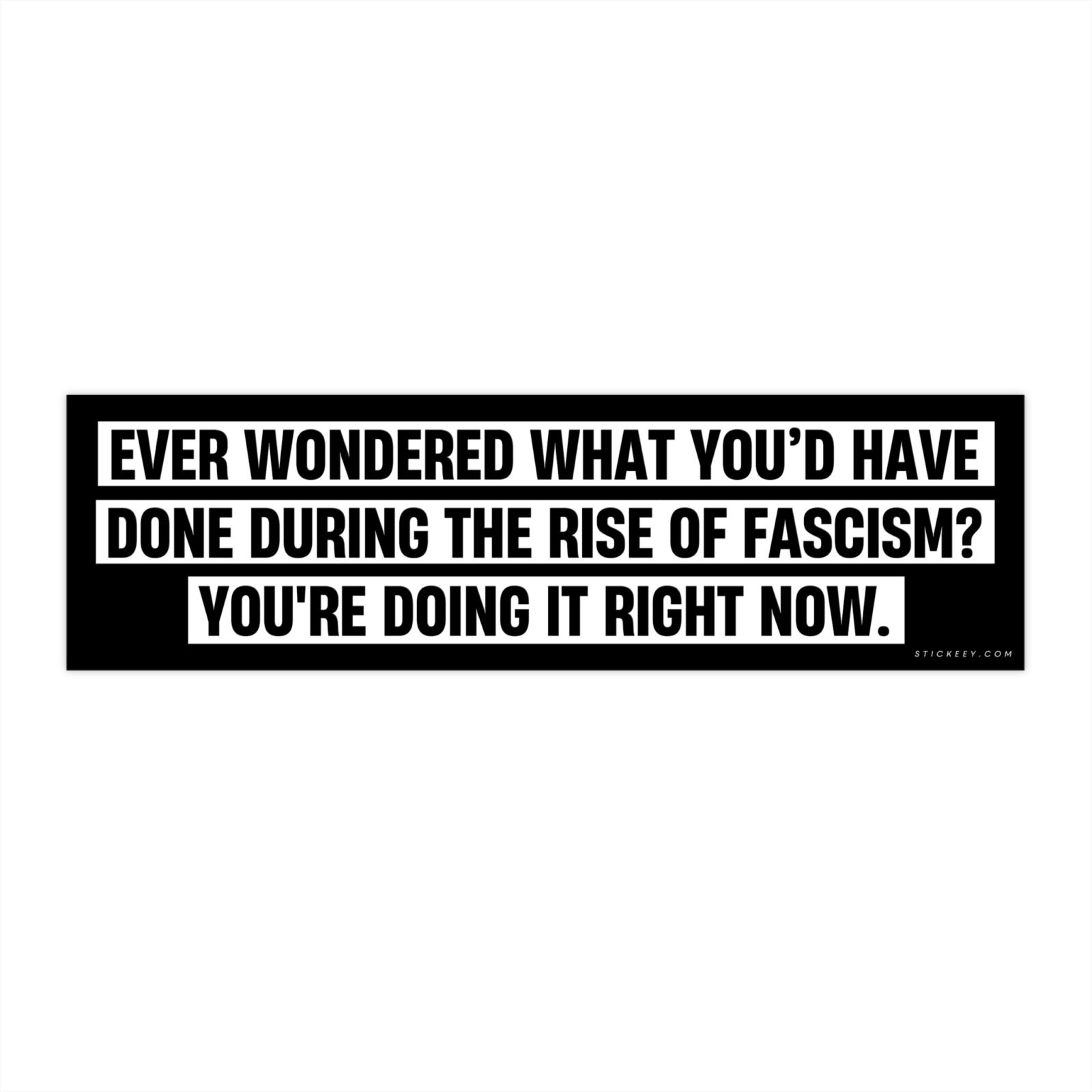 Ever Wondered What You’d Have Done During the Rise of Fascism? Bumper Sticker