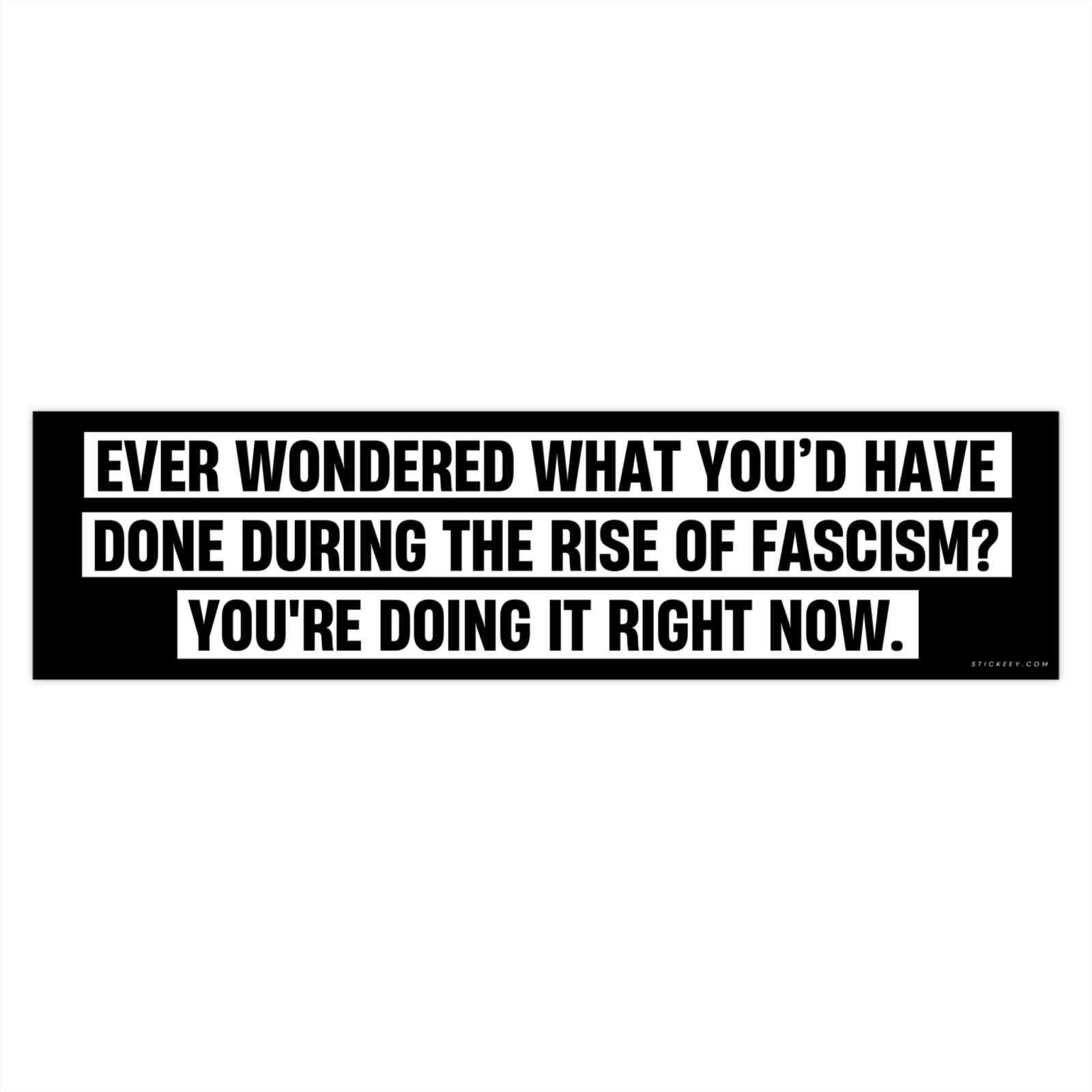 Ever Wondered What You’d Have Done During the Rise of Fascism? Bumper Sticker