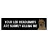 LED Headlights Are Slowly Killing Me Bumper Sticker