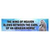 The Wind Of Heaven Blows Between The Ears Of An Arabian Horse Bumper Sticker