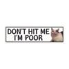 Don't Hit Me I'm Poor Magnet Sticker