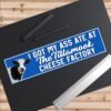 I Got My Ass Ate At The Tillamook Cheese Factory Bumper Sticker