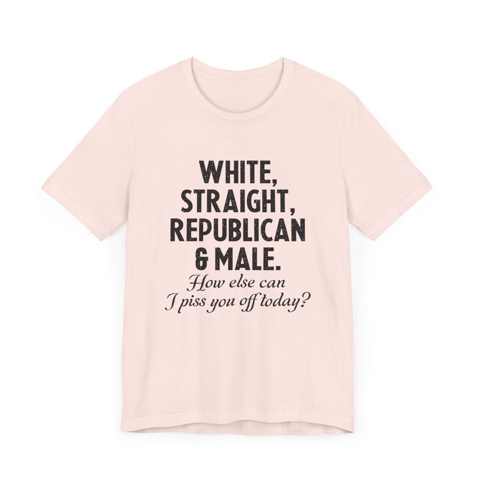 White, Straight, Republican & Male How Else Can I Piss You Off Today? T-Shirt
