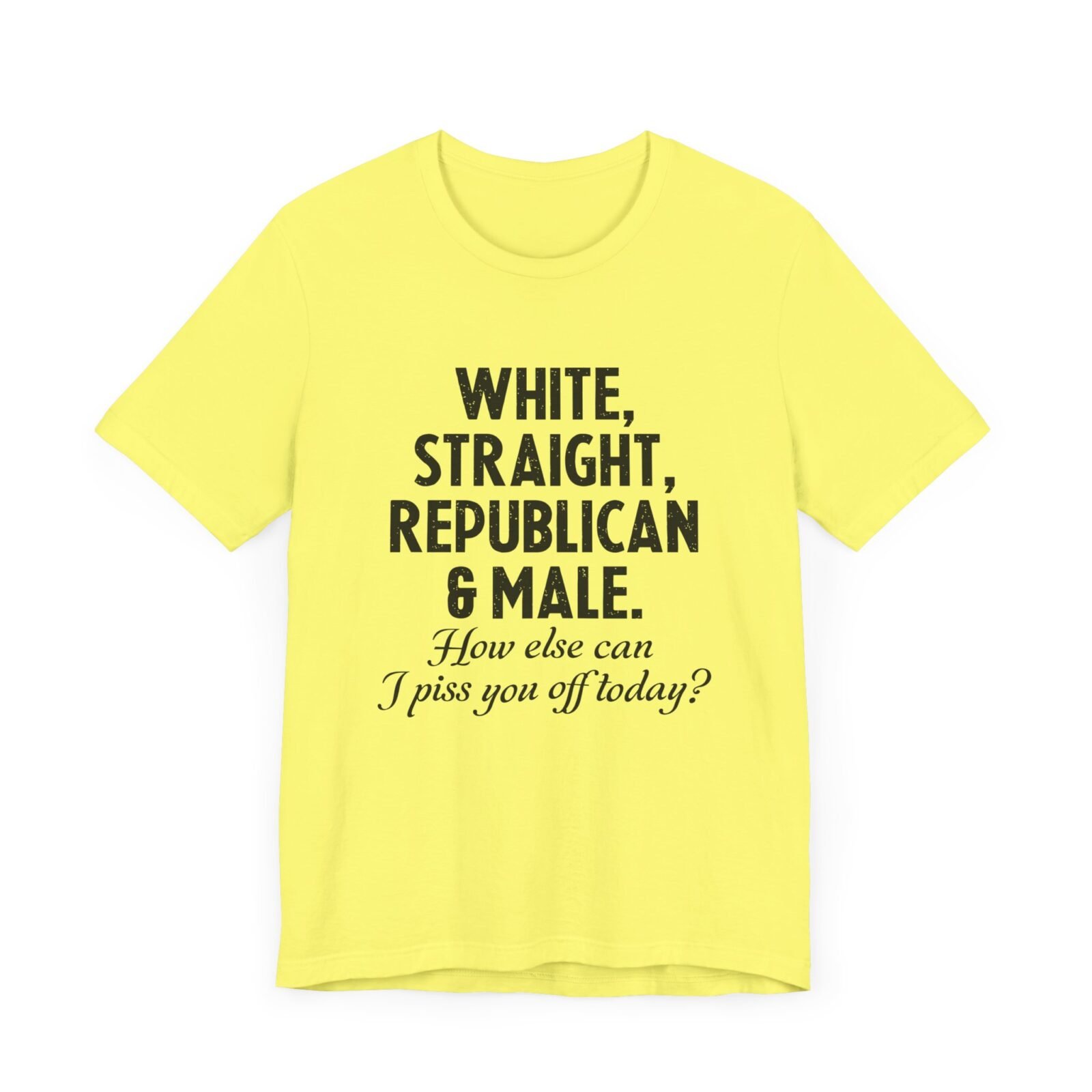White, Straight, Republican & Male How Else Can I Piss You Off Today? T-Shirt