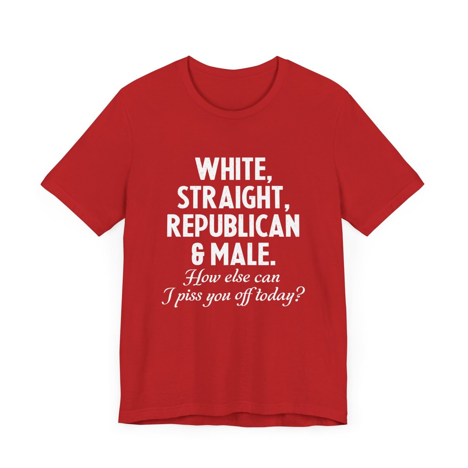 White, Straight, Republican & Male How Else Can I Piss You Off Today? T-Shirt