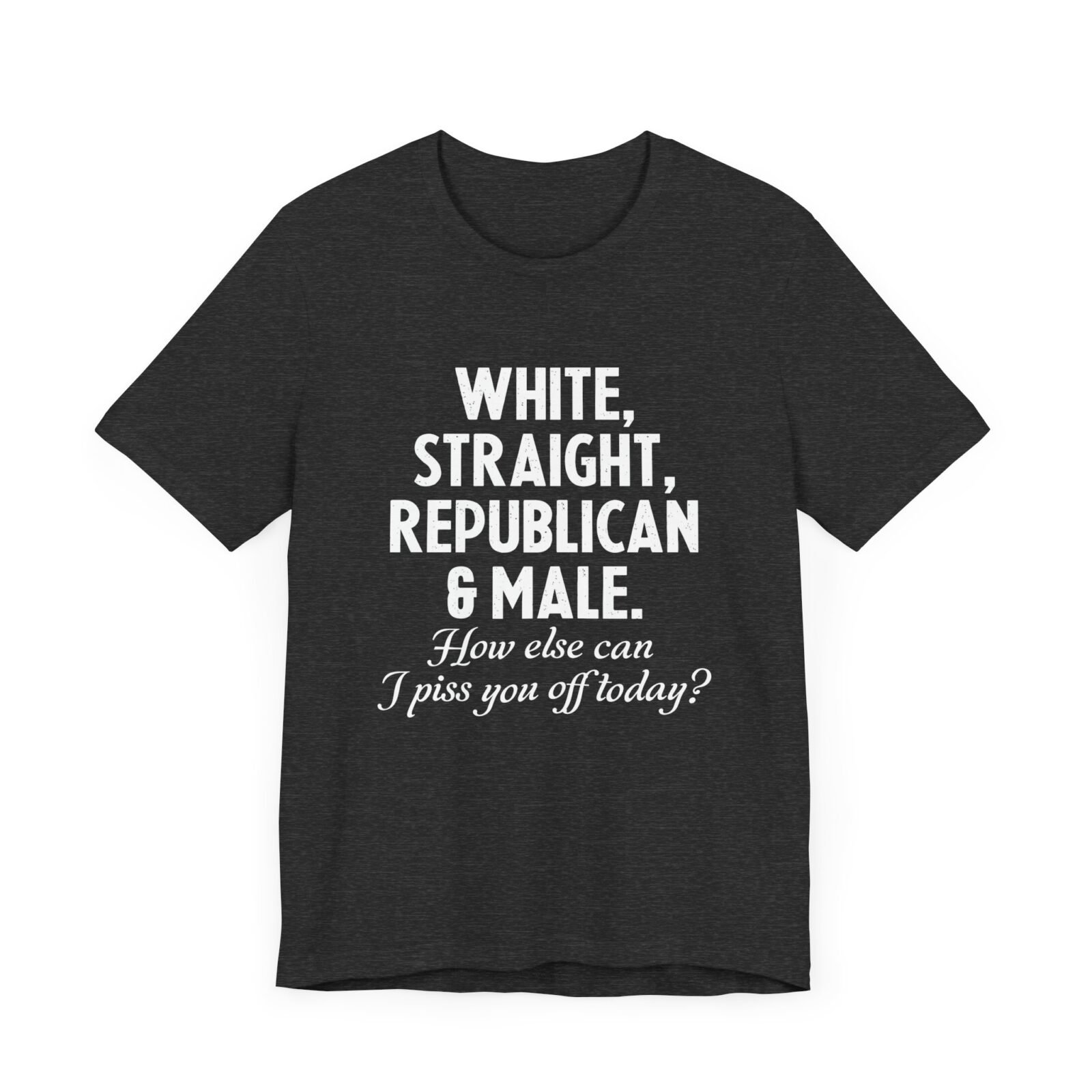 White, Straight, Republican & Male How Else Can I Piss You Off Today? T-Shirt