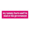 My Tummy Hurts And I'm Mad At The Government Bumper Stickers