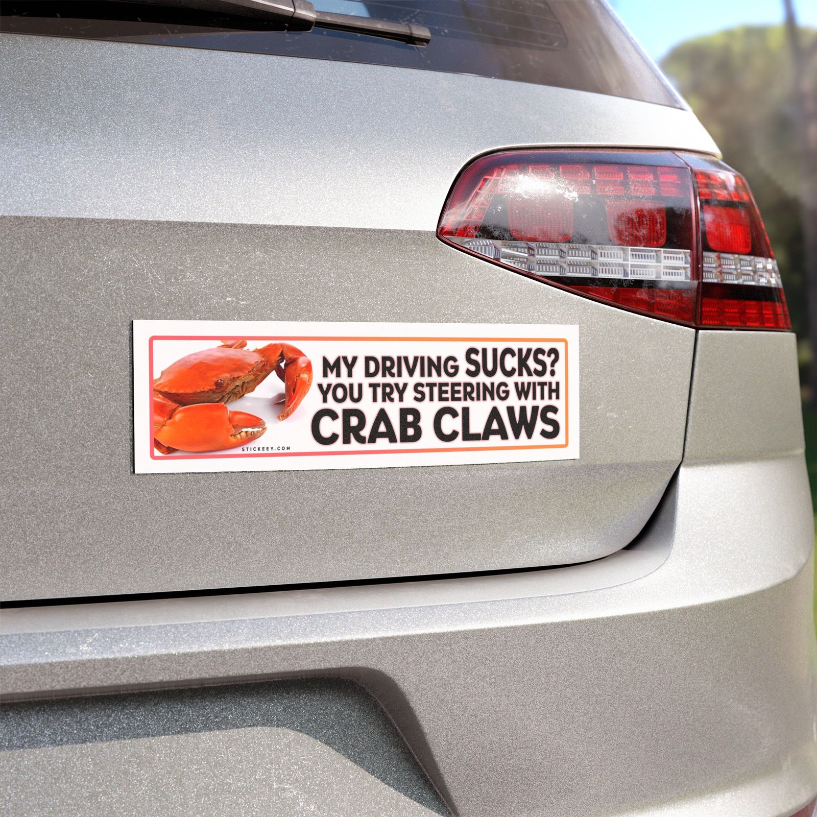 I Don’t Look Disabled? You Don’t Look Stupid But There You Go Magnet Sticker