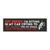 Keep Honking! I'm Sitting In My Car Crying To Jeff Buckley’s 1994 Hit Single Magnet sticker