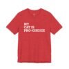 My Cat is Pro-Choice shirt