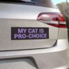 My Cat is Pro-Choice Magnet Sticker