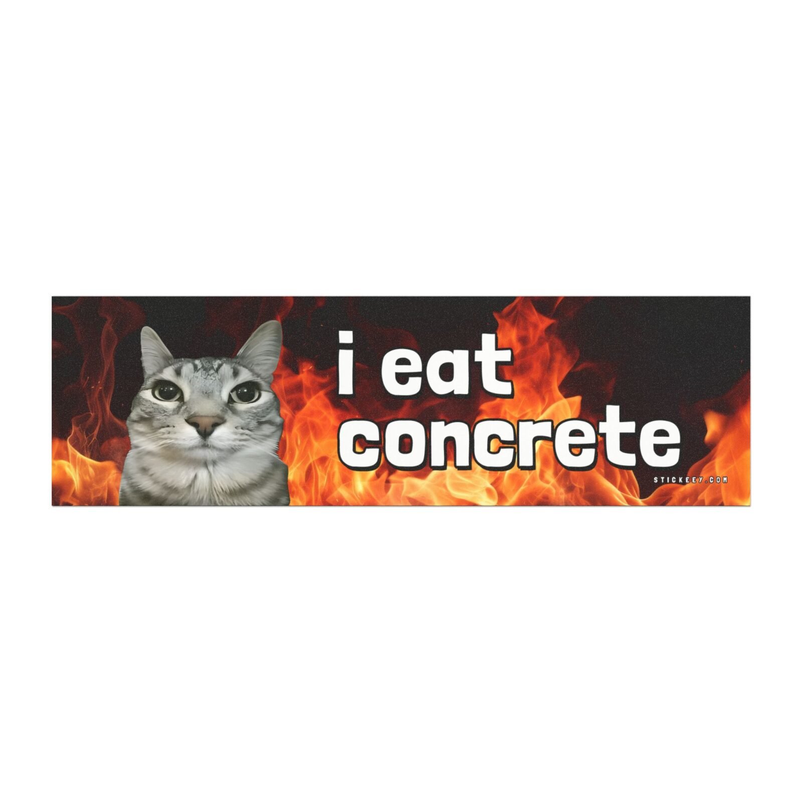 I Eat Concrete Funny Cat Magnet Sticker