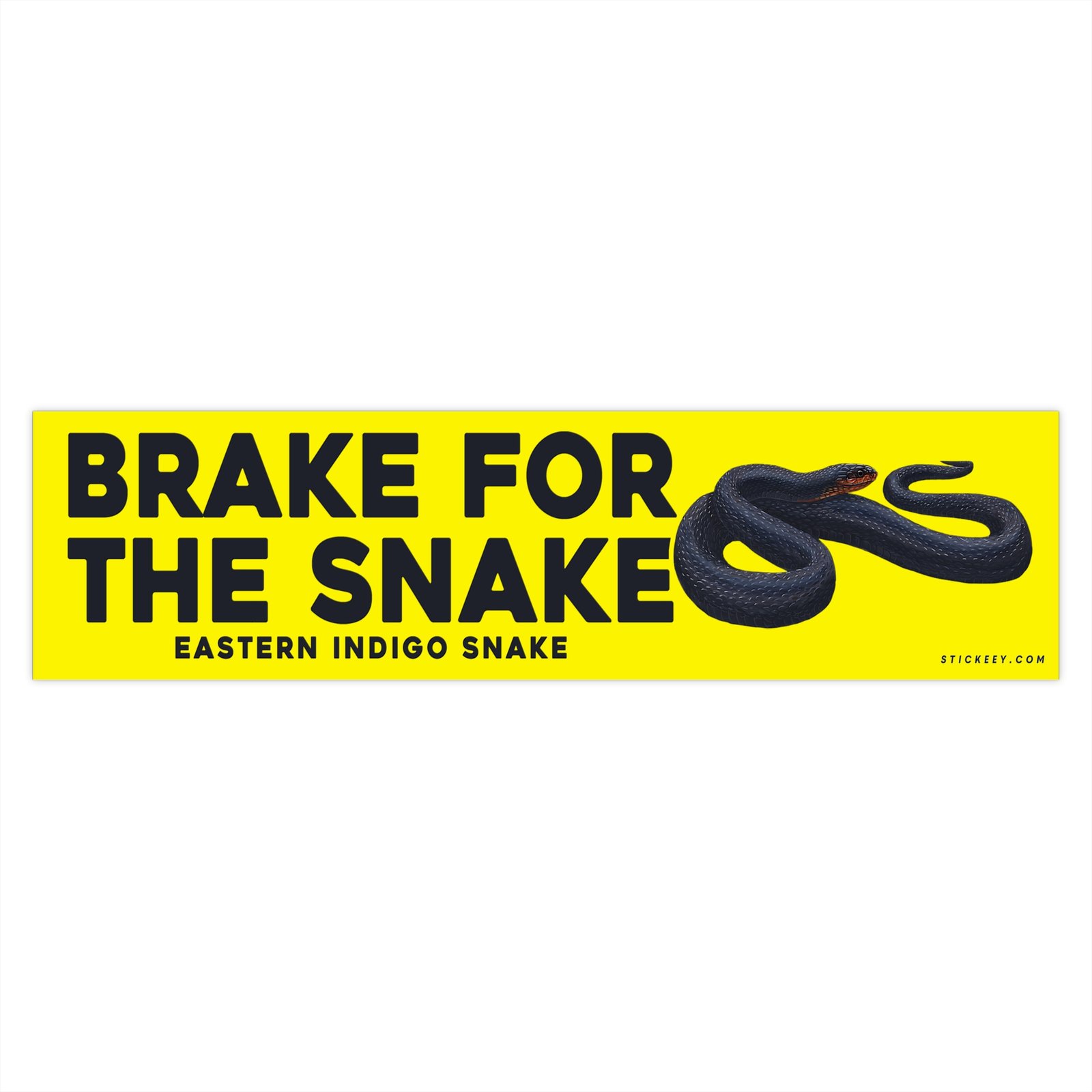 Brake For The Snake Eastern Indigo Snake Wildlife Conservation Bumper Sticker