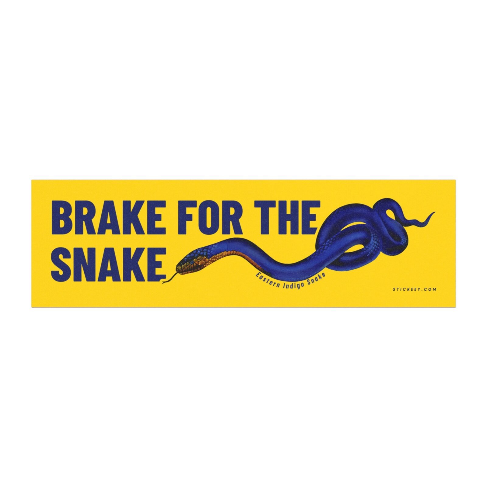 Brake For The Snake Eastern Indigo Snake Magnet Sticker