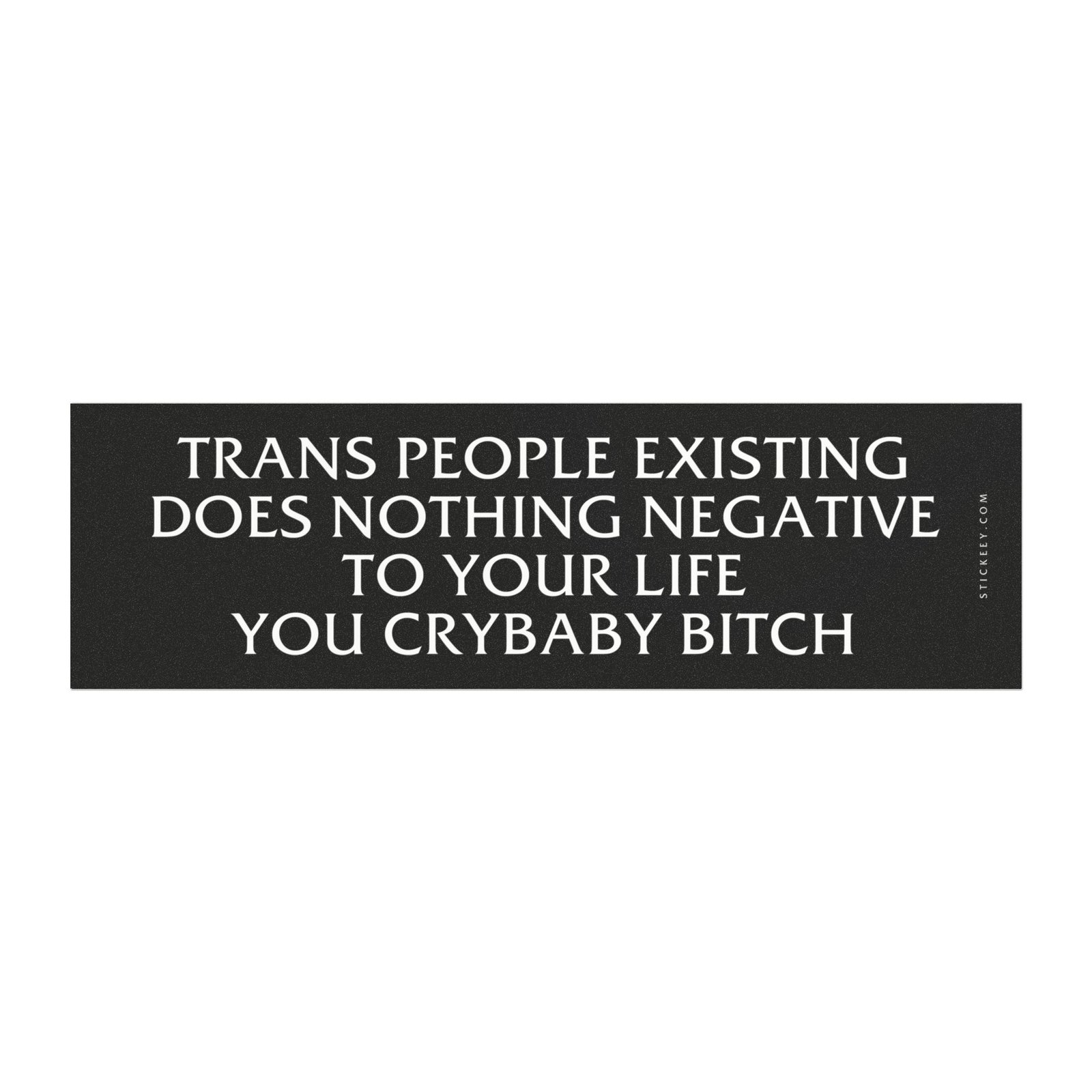 Trans People Existing Does Nothing Negative To Your Life You Crybaby Bitch Magnet Sticker