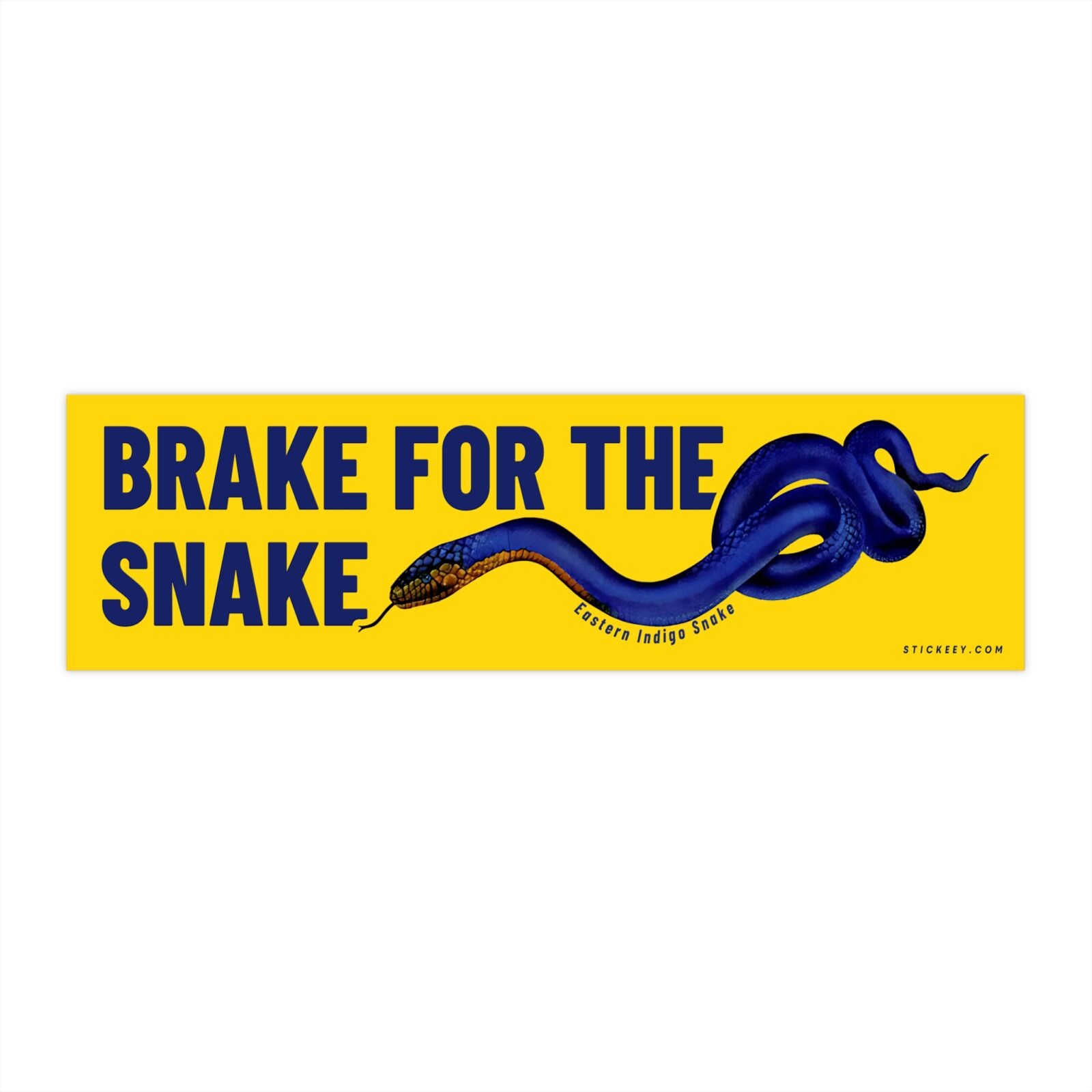 Brake For The Snake Eastern Indigo Snake Bumper Sticker