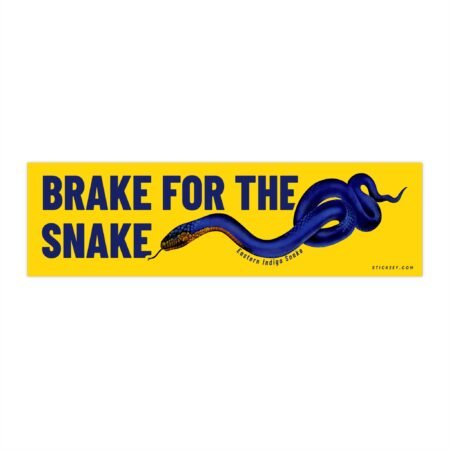 Brake For The Snake Eastern Indigo Snake Bumper Sticker