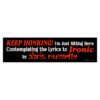 KEEP HONKING! Ironic Alanis Morissette Bumper Sticker