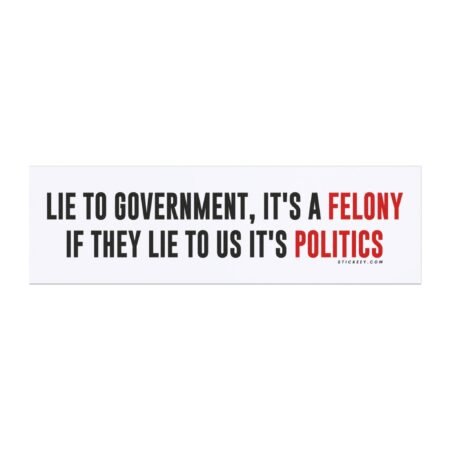 Lie To Government, It's A Felony If They Lie To Us It's Politics Magnet Sticker