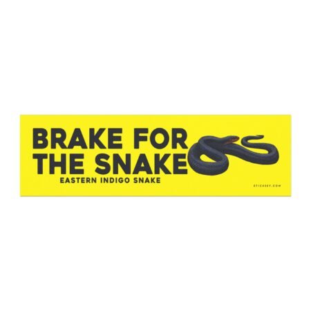 Brake For The Snake Eastern Indigo Snake
