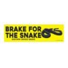 Brake For The Snake Eastern Indigo Snake Wildlife Conservation Bumper Sticker