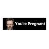 House Meme You're Pregnant