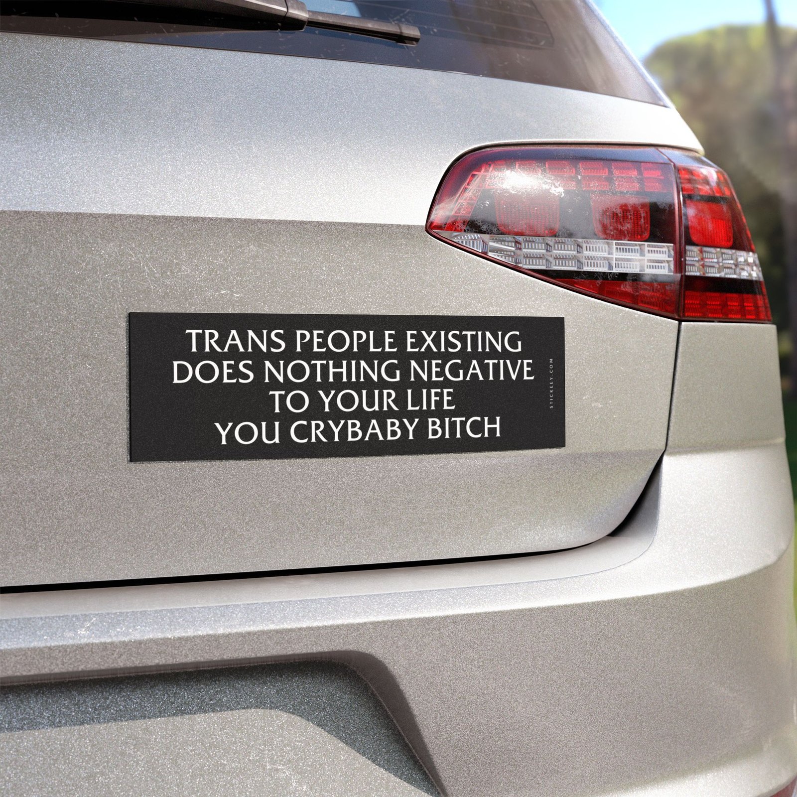Trans People Existing Does Nothing Negative To Your Life You Crybaby Bitch Magnet Sticker