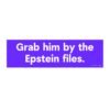 Grab Him By The Epstein Files Bumper Sticker