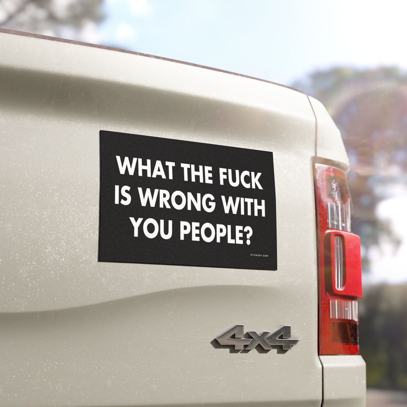 What The Fuck Is Wrong With You People? Magnet Sticker