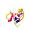 Sailor Moon Sticker