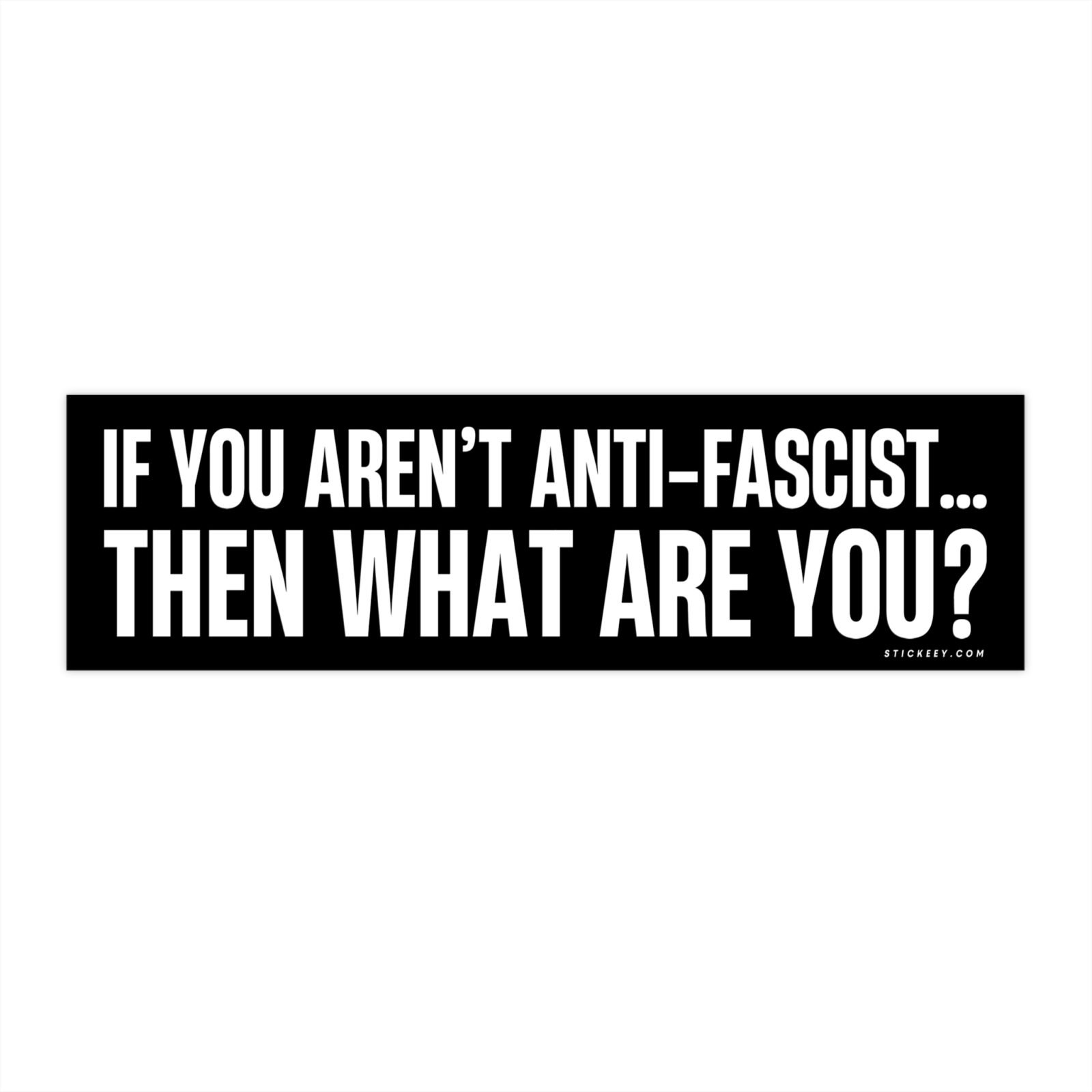 If You Aren't Anti-fascist... Then What Are You? Bumper Sticker