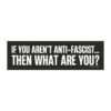 If You Aren't Anti-fascist... Then What Are You? Magnet Sticker