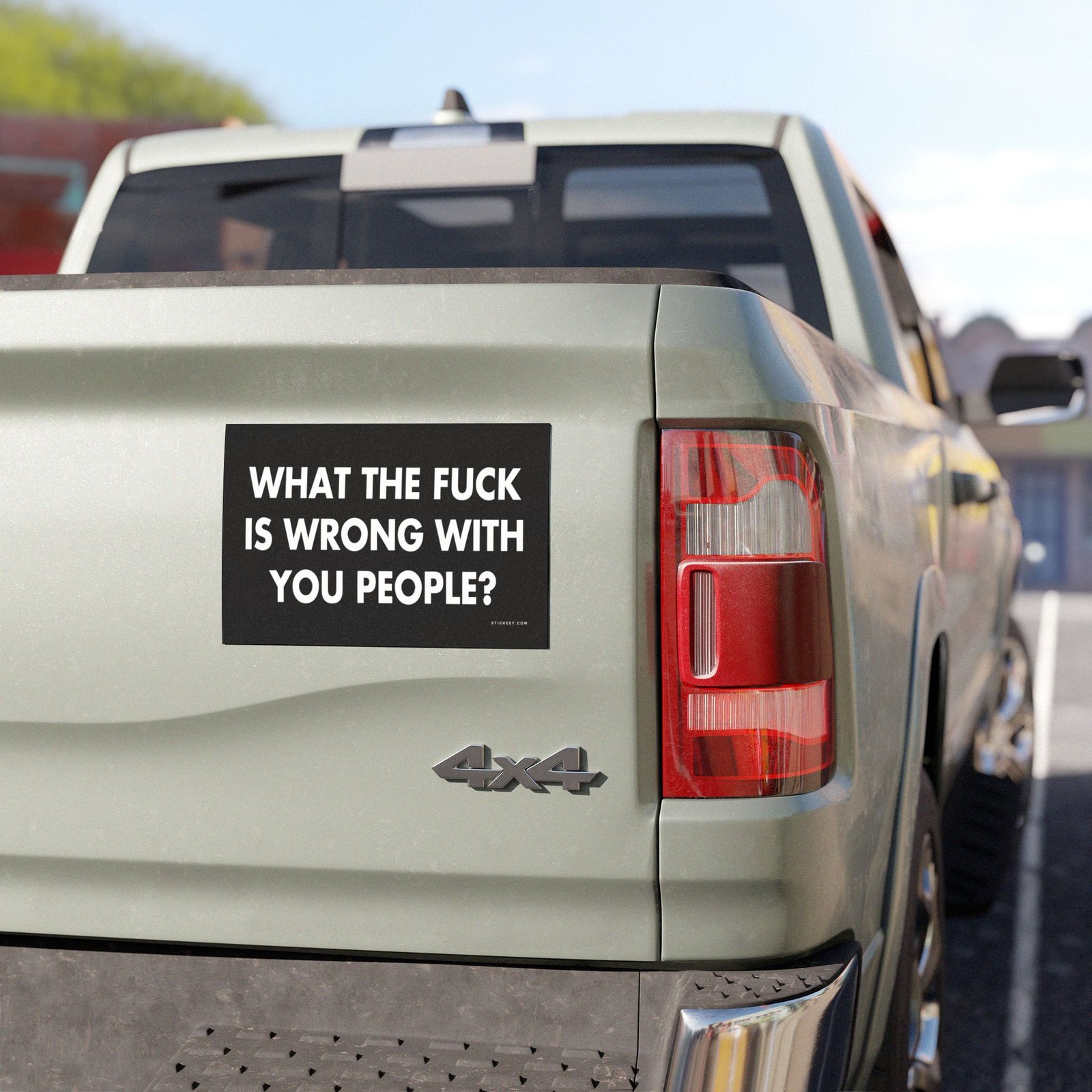 What The Fuck Is Wrong With You People? Magnet Sticker