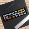 Don’t Blame Me for Speeding, Blame SEGA for Teaching Me That Gotta Go Fast Is a Lifestyle Bumper Sticker