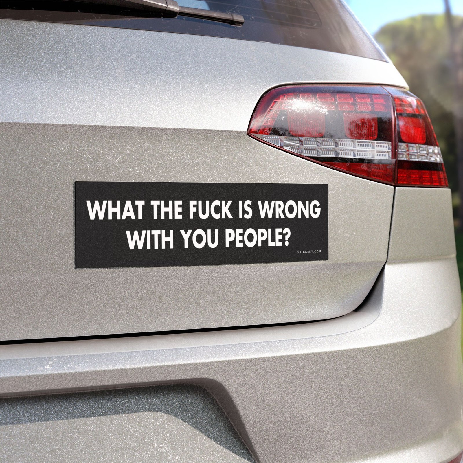 What The Fuck Is Wrong With You People? Magnet Sticker